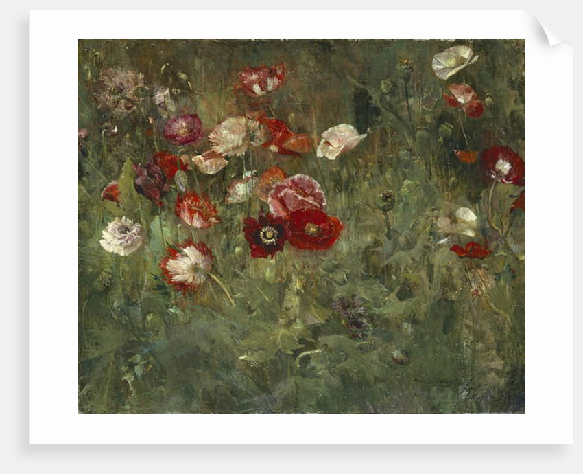 A Bed of Poppies, 1909 by Maria Oakey Dewing