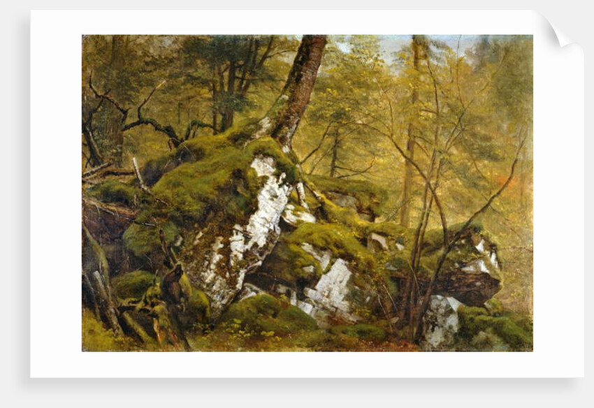 Study of a Wood Interior, c.1855 by Asher Brown Durand