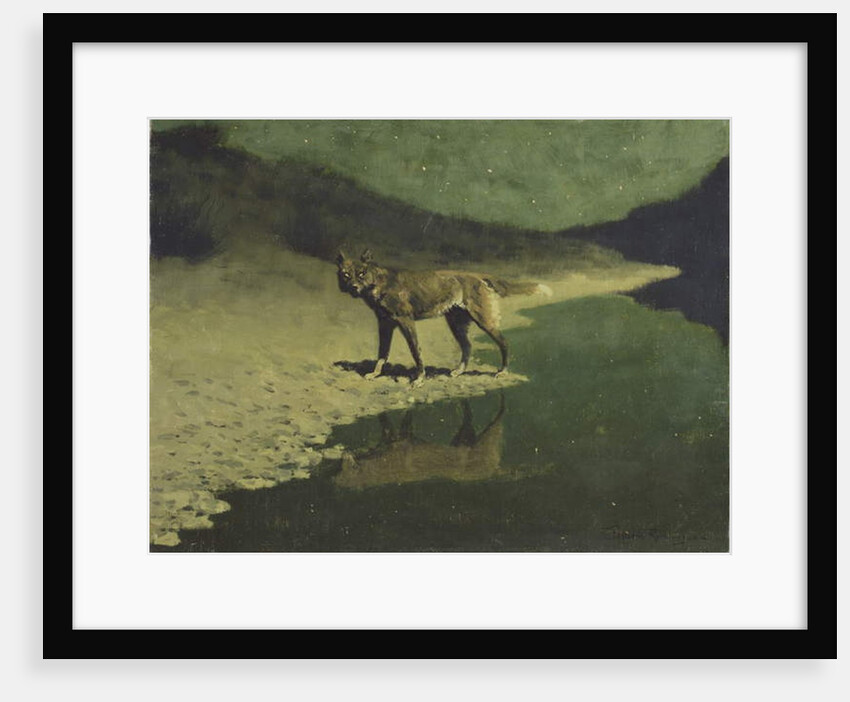 Moonlight, Wolf, c.1904 by Frederic Remington