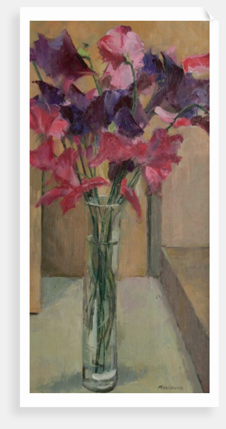 Sweet Peas, 2008 by Pat Maclaurin