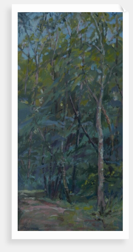 Woodland path, 2008 by Pat Maclaurin