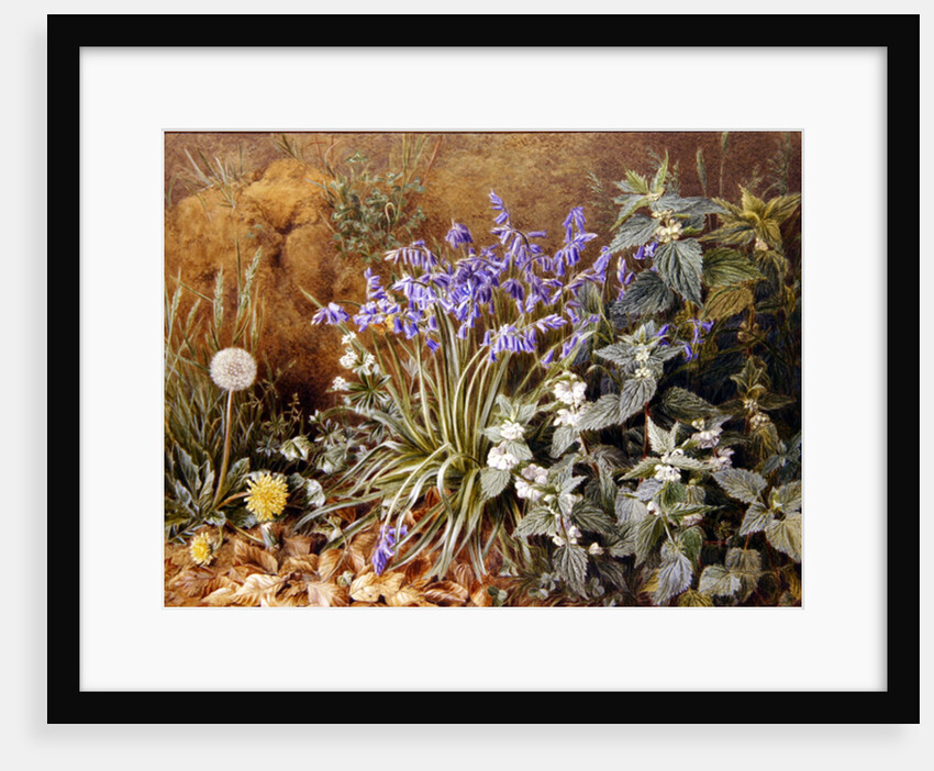 Wild Flowers by Marian Emma Chase