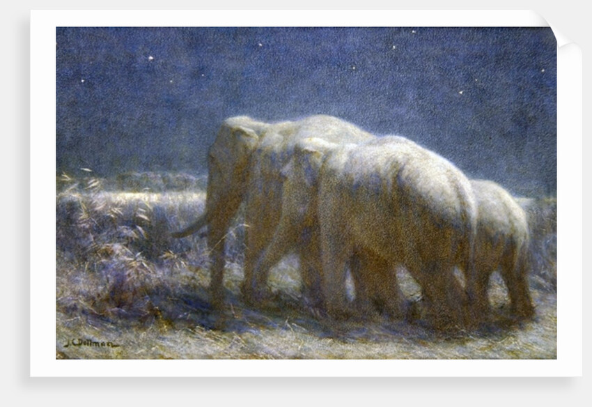 Night, 1908 by John Charles Dollman