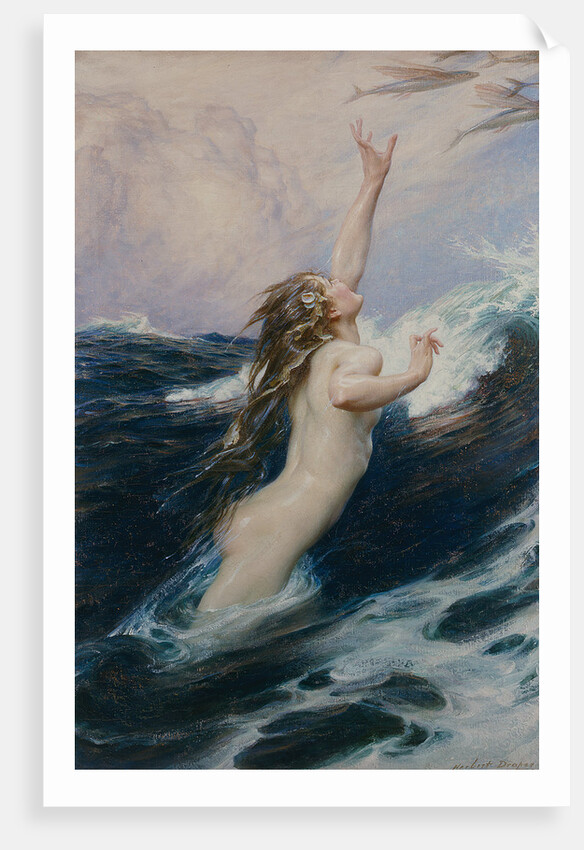 Flying Fish, 1910 by Herbert James Draper