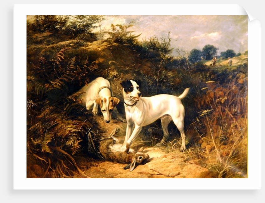 The Warrener's Friends by George Earl