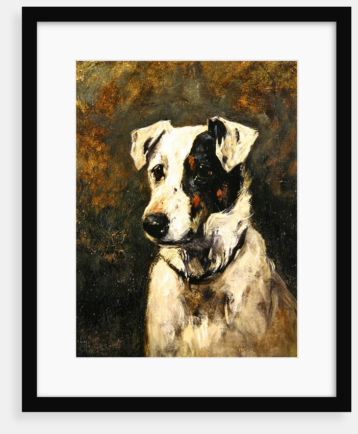 Puck, 1903 by John Emms