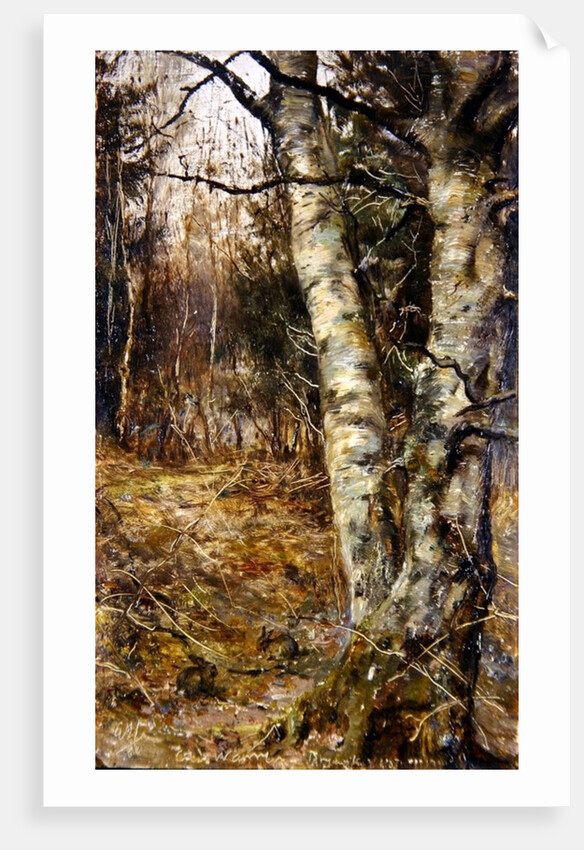 Old Warren, Bryanston by English School