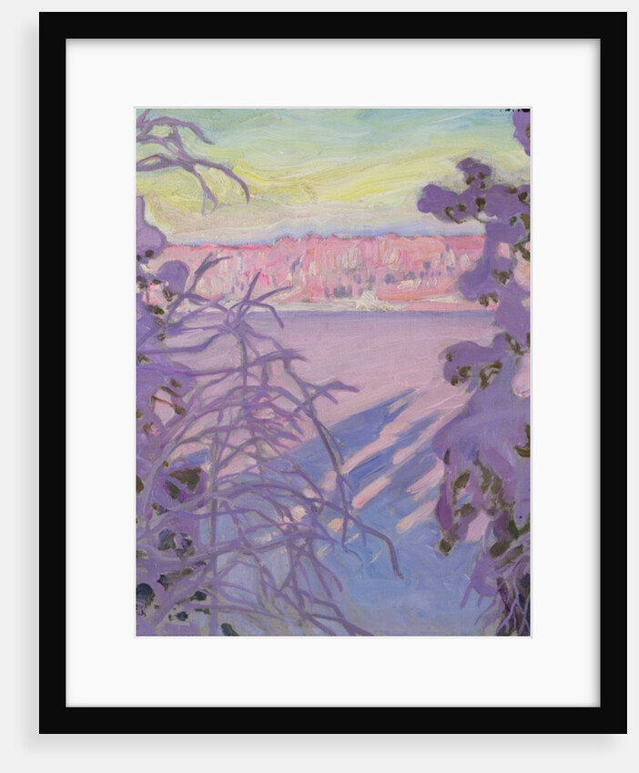 A Winter Landscape, 1917 by Akseli Valdemar Gallen-Kallela