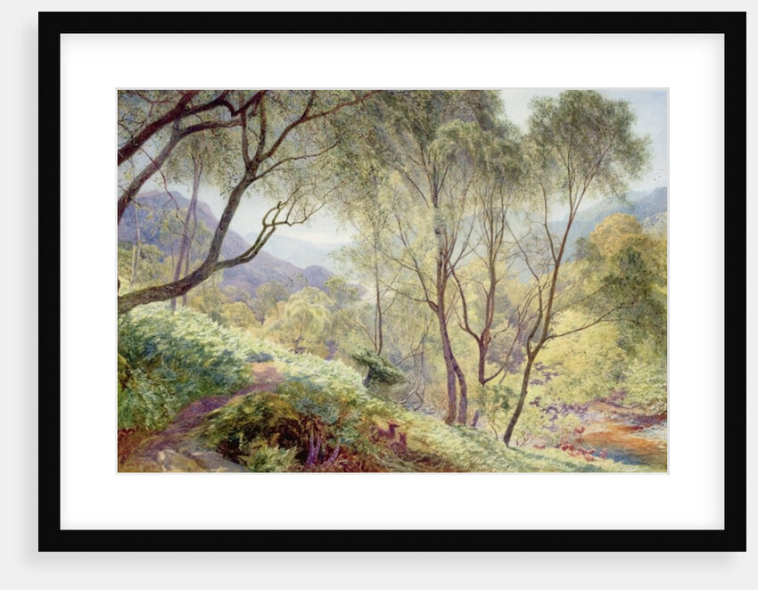 Ullswater from Gowbarrow Park, 1864 by Alfred William Hunt