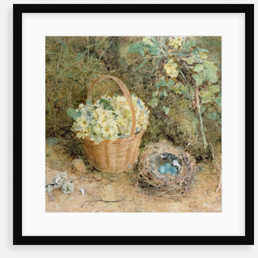 Chaffinch's Nest with Primroses by William Henry Hunt