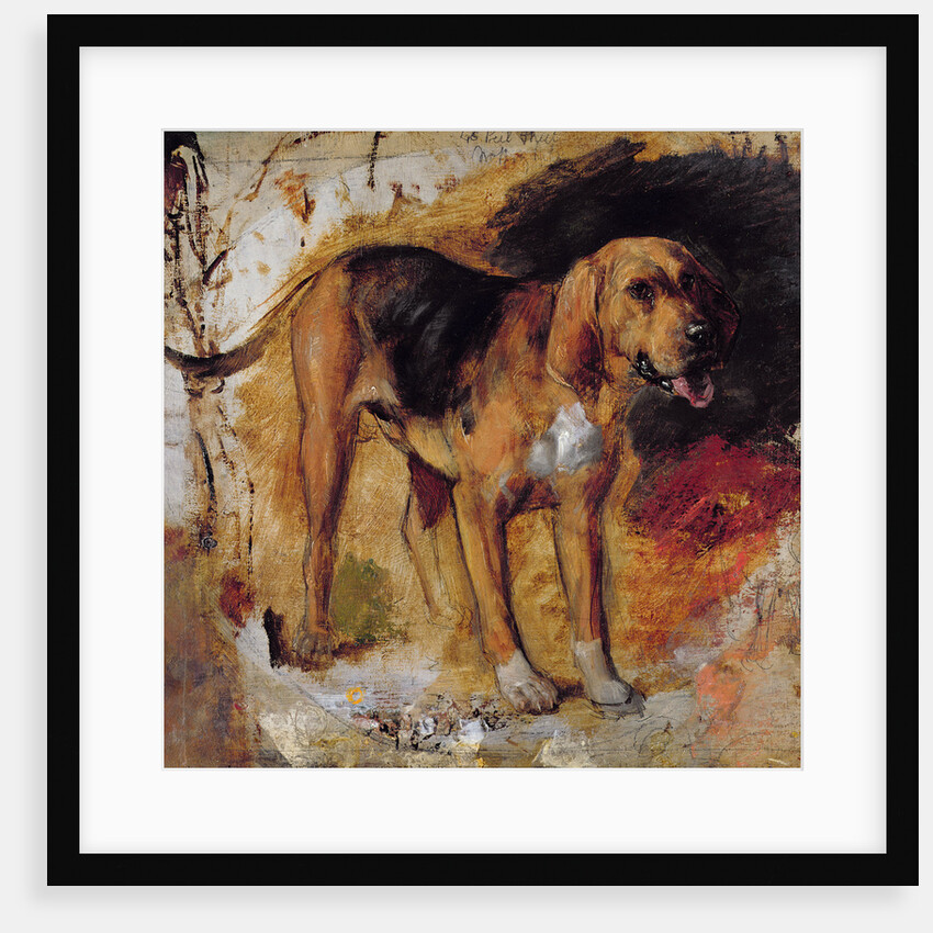 A Study of a Bloodhound, 1848 by William Holman Hunt