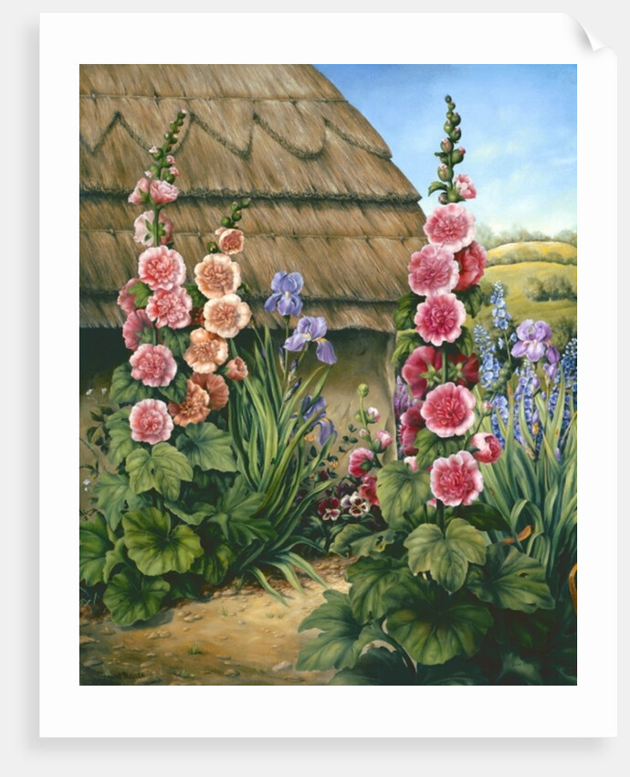 Cottage Garden with Hollyhocks, 1995 by Amelia Kleiser