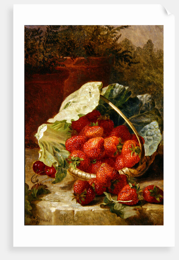 Strawberries in a cabbage leaf, 1891 by Eloise Harriet Stannard