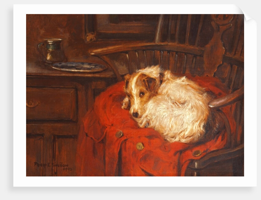 A Favourite Chair, 1903 by Philip Eustace Stretton