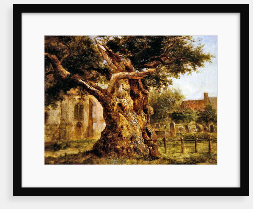 The Old Oak, 1870 by Joseph Thors