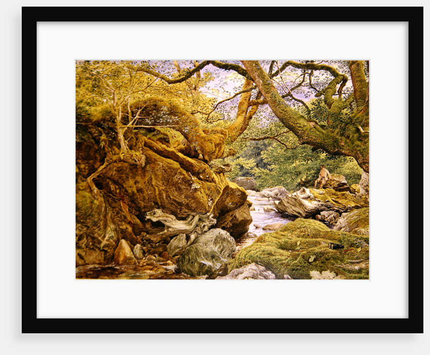 Study from Nature: Inveruglas, 1857 by Joseph Noel Paton