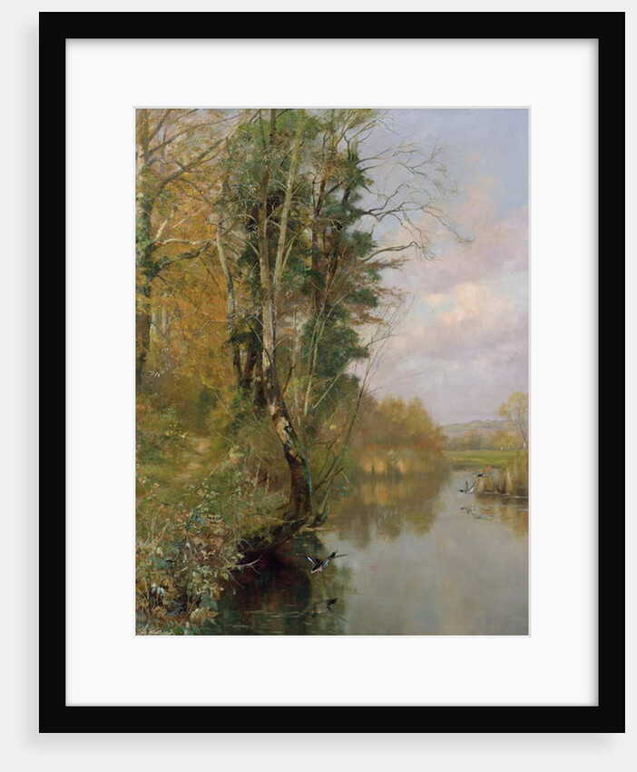 The River Frome, Morton nr Dorchester, 1901 by Frederick William Newton Whitehead