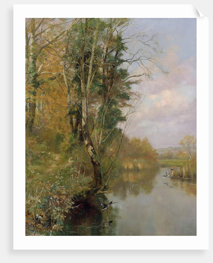 The River Frome, Morton nr Dorchester, 1901 by Frederick William Newton Whitehead