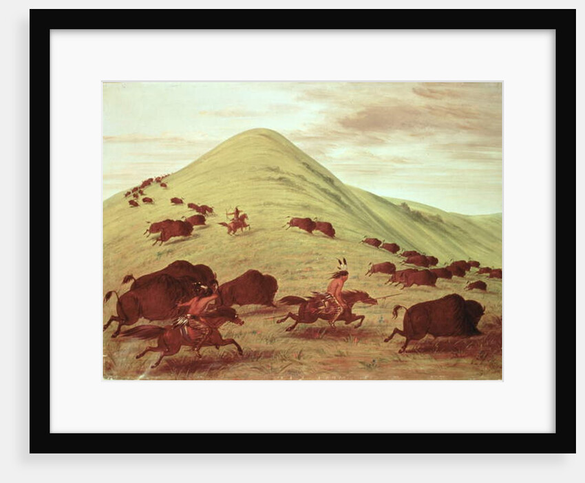 Sioux Indians hunting buffalo, 1835 by George Catlin