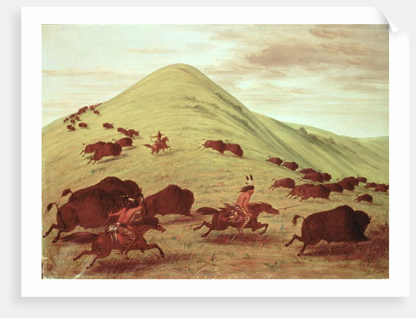 Sioux Indians hunting buffalo, 1835 by George Catlin