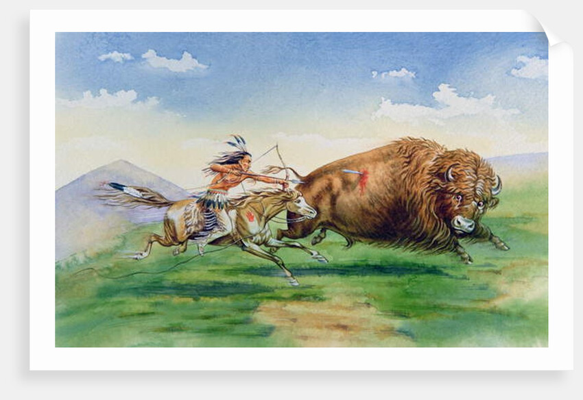 Sioux hunting buffalo on decorated pony by American School