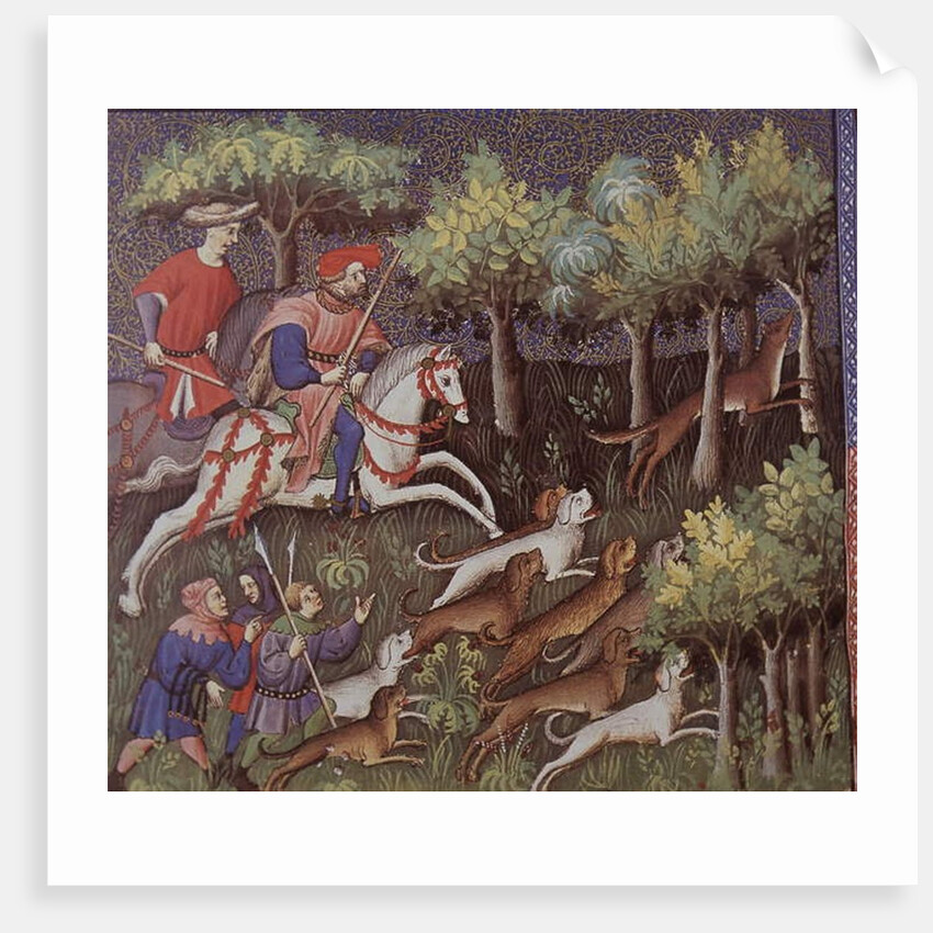 Medieval aristocrats hunting foxes by English School