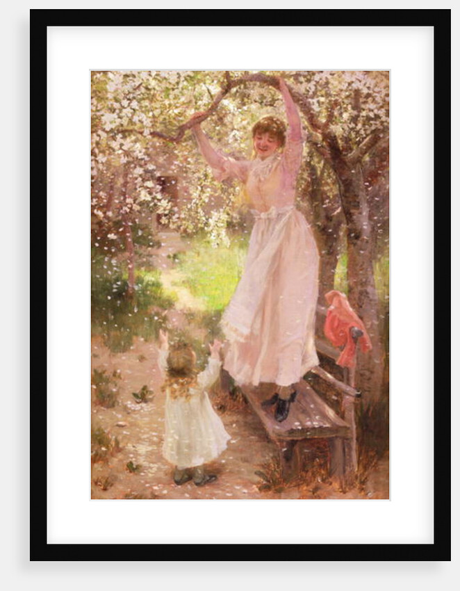 Falling Apple Blossoms by Hamilton Hamilton