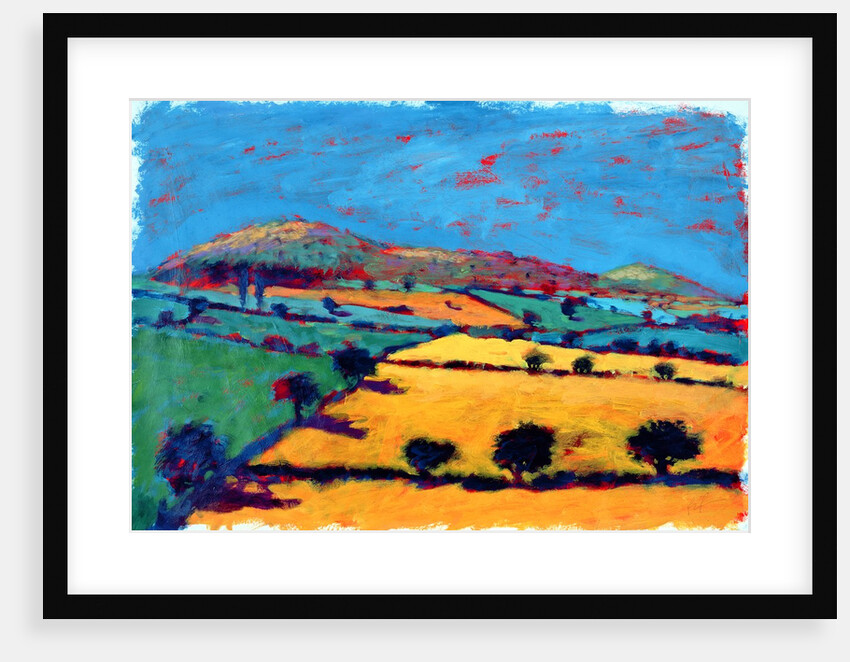 Golden Valley by Paul Powis