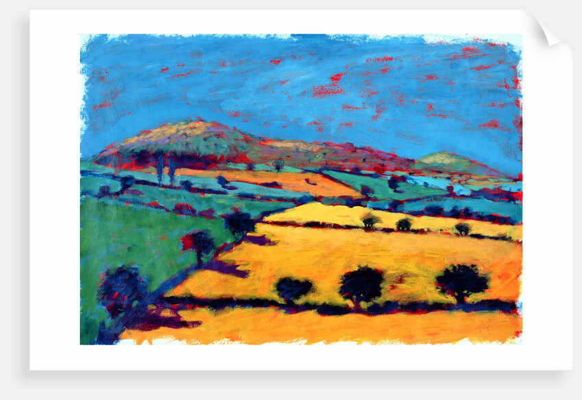 Golden Valley by Paul Powis