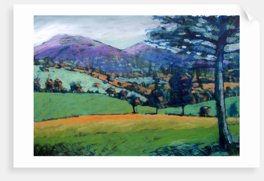 Misty Morning by Paul Powis