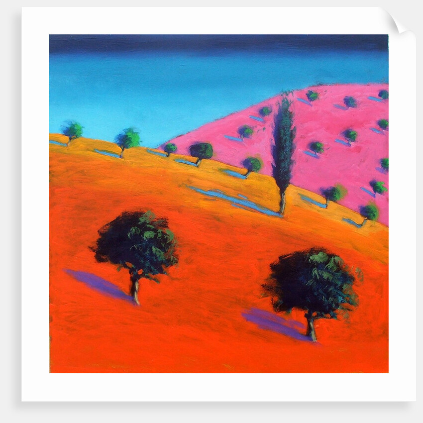 Pink Hill, 2018 by Paul Powis