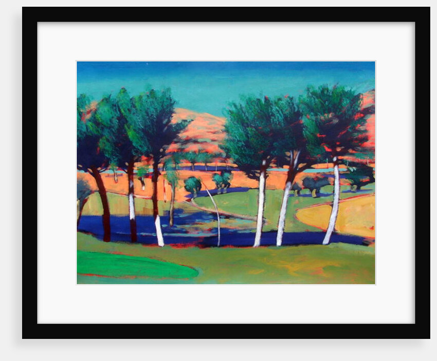 Son Vida 3, 2010 by Paul Powis