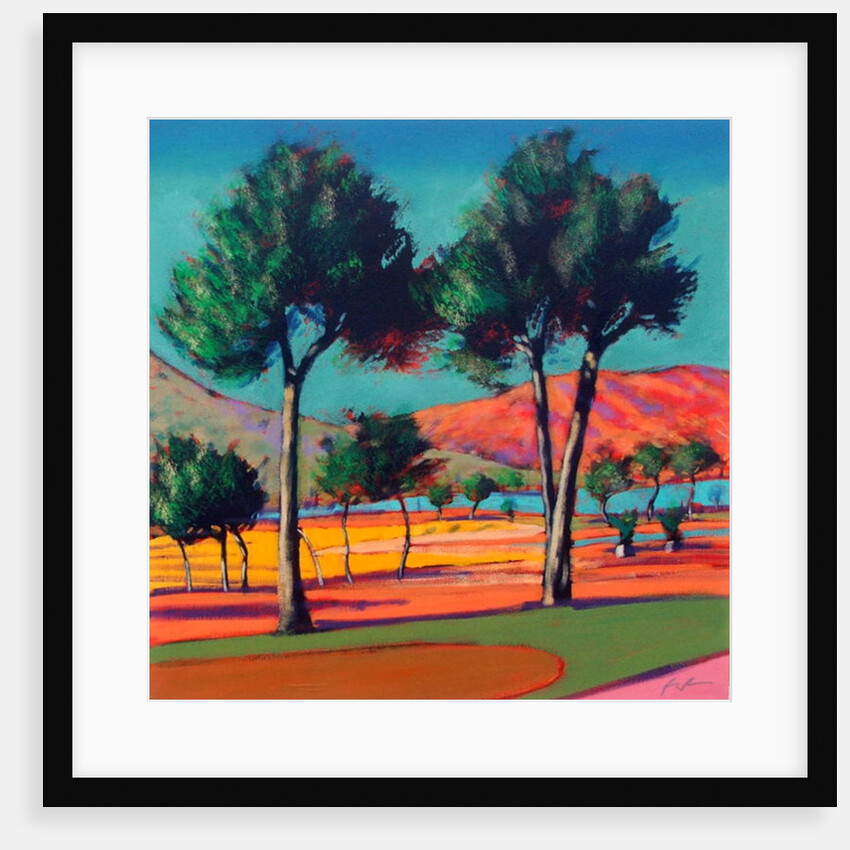 Son Vida by Paul Powis