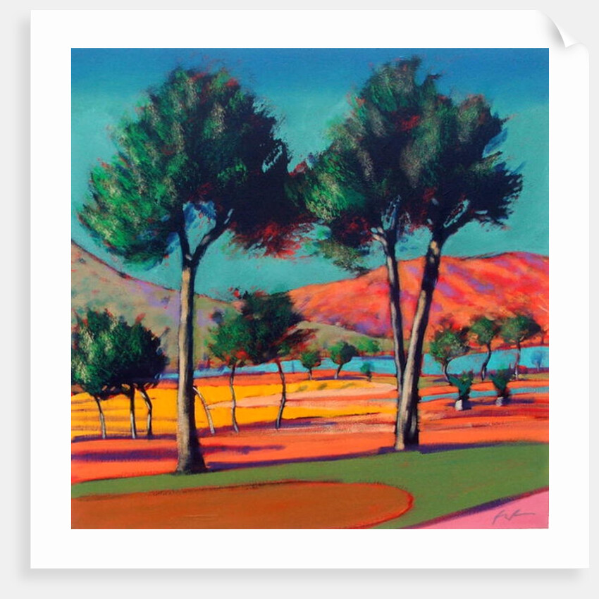 Son Vida by Paul Powis