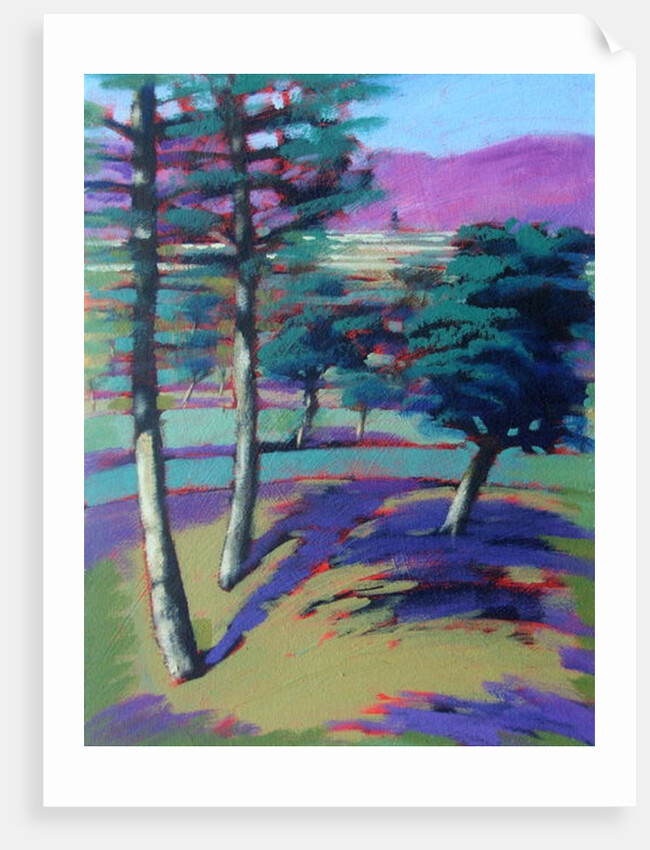 Sunny Afternoon by Paul Powis