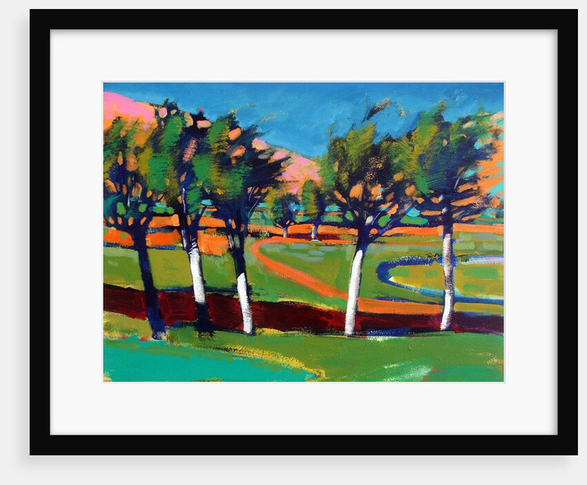 Evergreen by Paul Powis