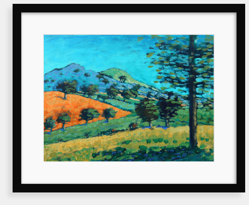 Malvern Hills, 2015 by Paul Powis