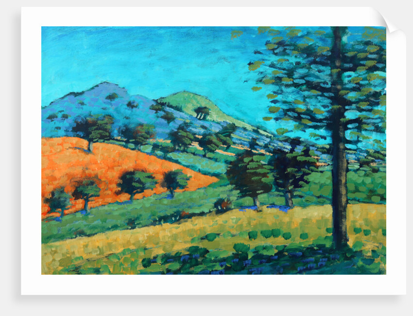 Malvern Hills, 2015 by Paul Powis