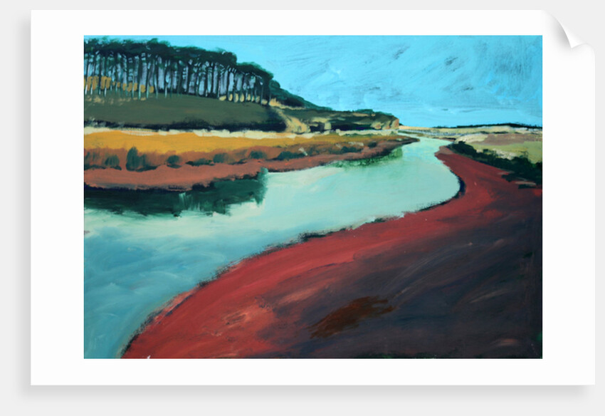 River Otter, 2014 by Paul Powis