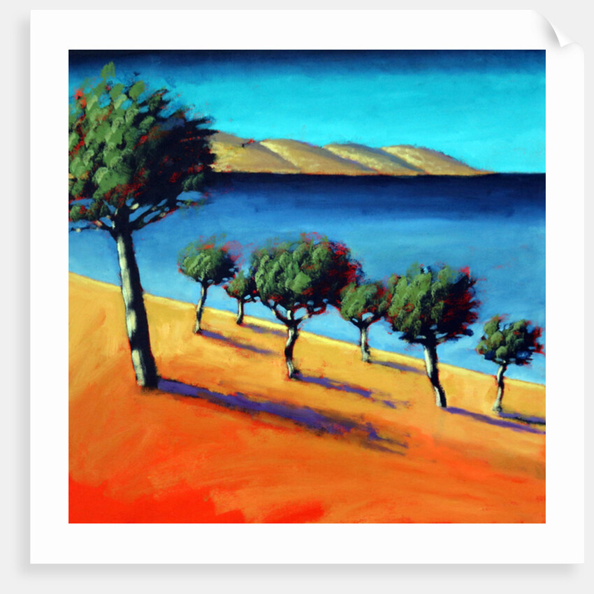 The Bay, 2014 by Paul Powis