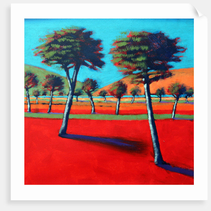 Son Vida I, 2014 by Paul Powis