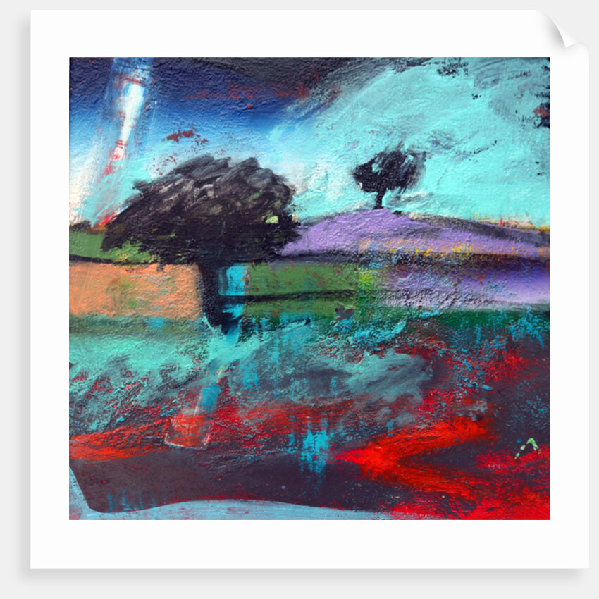 Crookbarrow Hill, 2012 by Paul Powis