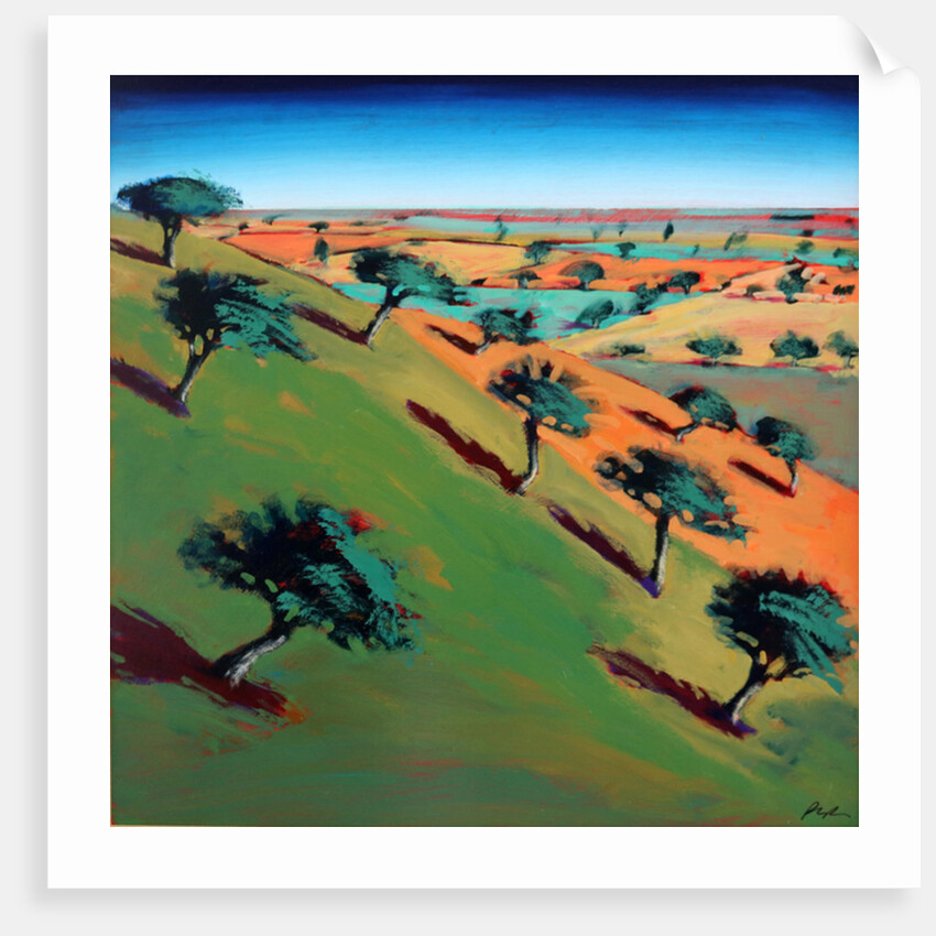 Ragged Stone Hill by Paul Powis