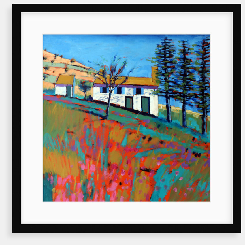 Le Marche, 2014 by Paul Powis