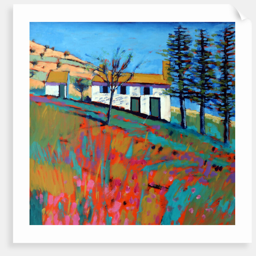 Le Marche, 2014 by Paul Powis