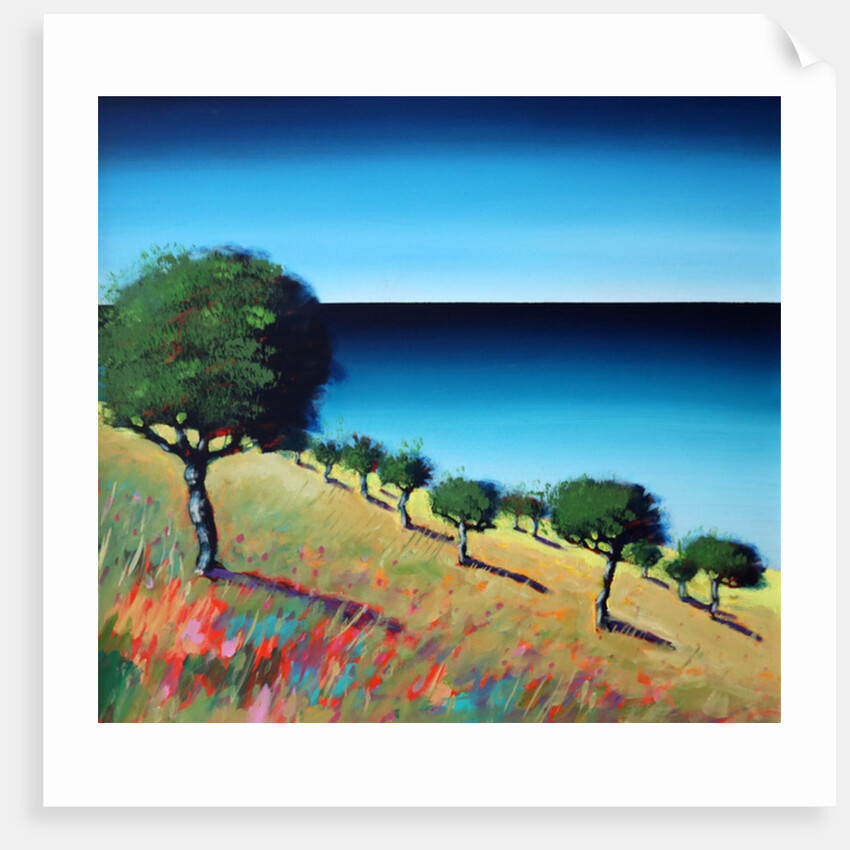 The Bay II, 2014 by Paul Powis