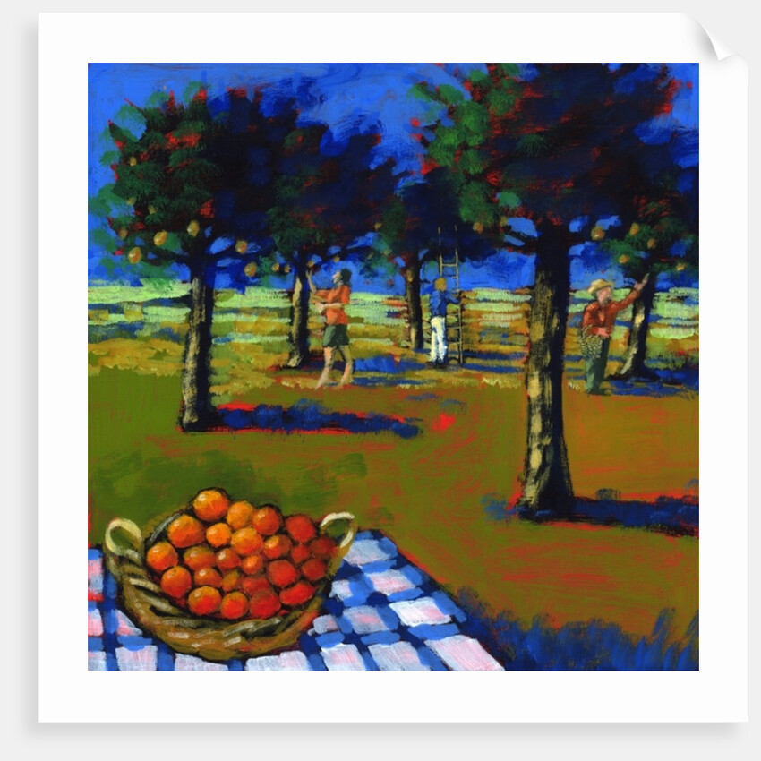Orange picking, 2008 by Paul Powis