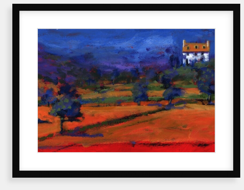 Summer at the white house, 2009 by Paul Powis