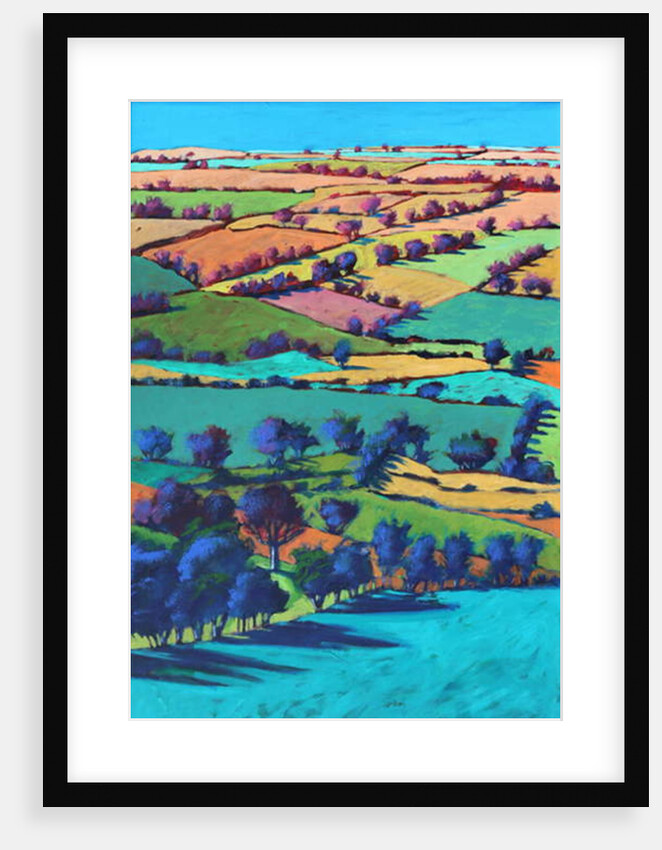 Teme Valley summer I by Paul Powis