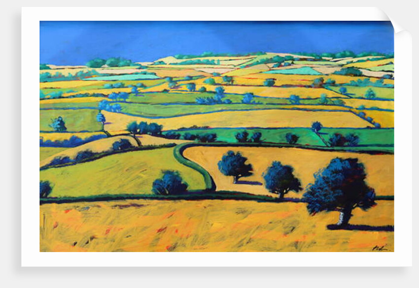 White Cross by Paul Powis